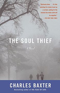 portada The Soul Thief (Vintage Contemporaries) (in English)