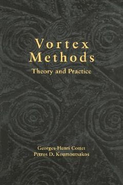 portada Vortex Methods: Theory and Practice (en Inglés)