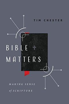 portada Bible Matters: Making Sense of Scripture (en Inglés)