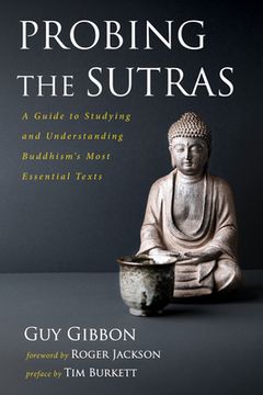 portada Probing the Sutras (in English)