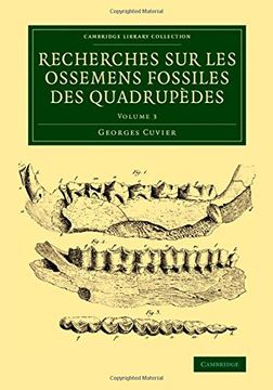 portada Recherches sur les Ossemens Fossiles des Quadrupèdes 4 Volume Set: Recherches sur les Ossemens Fossiles des Quadrupèdes - Volume 3 (Cambridge Library Collection - Earth Science) (en Inglés)