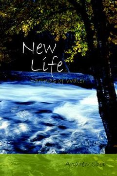 portada new life (en Inglés)