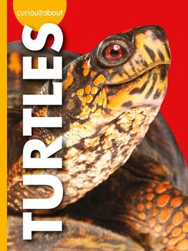 portada Curious about Turtles (en Inglés)