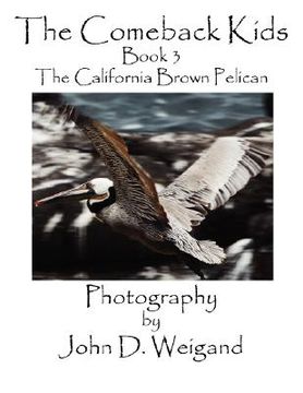 portada the comeback kids, book 3, the california brown pelican (in English)