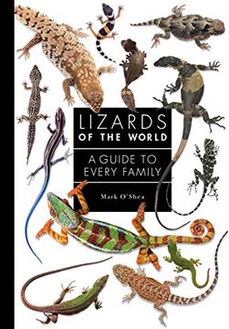 portada Lizards of the World: A Guide to Every Family (en Inglés)