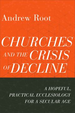 portada Churches and the Crisis of Decline (en Inglés)