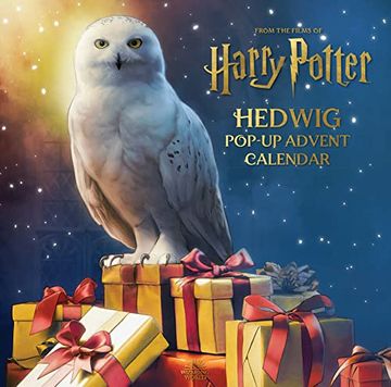 portada Harry Potter: Hedwig Pop-Up Advent Calendar (in English)