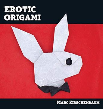 portada Erotic Origami (en Inglés)