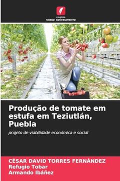 portada Produção de Tomate em Estufa em Teziutlán, Puebla