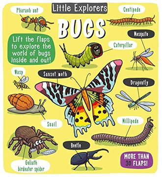 portada Little Explorers: Bugs (in English)