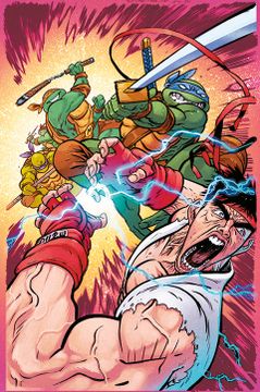 portada Las Tortugas Ninja vs. Street Fighter núm. 3 de 5 (en Castellano)