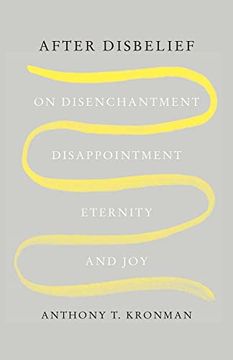 portada After Disbelief: On Disenchantment, Disappointment, Eternity, and joy (en Inglés)