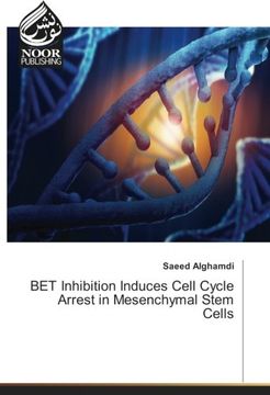 portada BET Inhibition Induces Cell Cycle Arrest in Mesenchymal Stem Cells