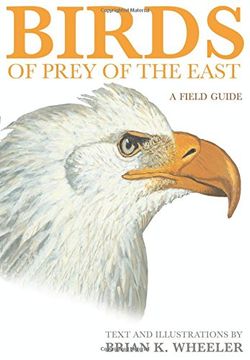 portada Birds of Prey of the East: A Field Guide (en Inglés)