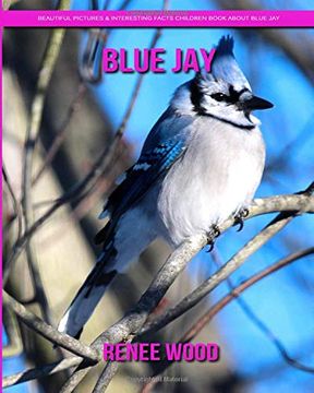 portada Blue Jay: Beautiful Pictures & Interesting Facts Children Book About Blue jay 