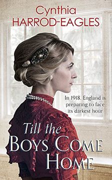 portada Till the Boys Come Home: War at Home 5 (in English)