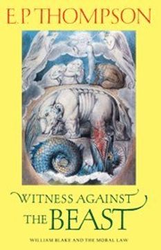 portada Witness Against the Beast Hardback: William Blake and the Moral law (en Inglés)