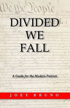 portada divided we fall (en Inglés)