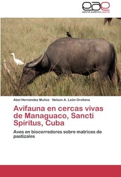 portada Avifauna En Cercas Vivas de Managuaco, Sancti Spiritus, Cuba