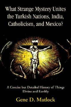 portada what strange mystery unites the turkish nations, india, catholicism, and mexico?: a concise but detailed history of things divine and earthly (in English)