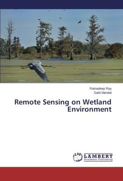 portada Remote Sensing on Wetland Environment