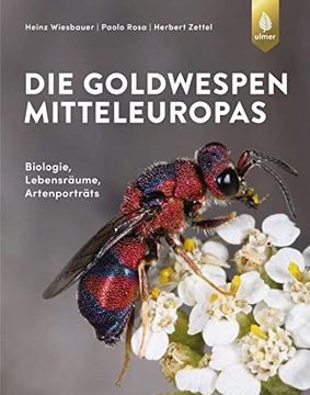 portada Goldwespen Mitteleuropas -Language: German (en Alemán)