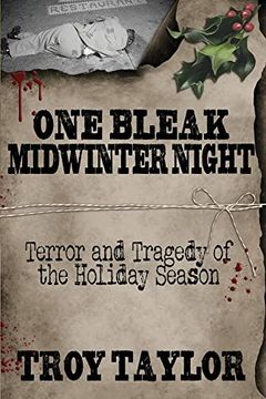 portada One Bleak Midwinter Night (en Inglés)