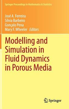 portada modelling and simulation in fluid dynamics in porous media (en Inglés)