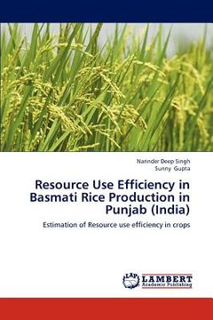 portada resource use efficiency in basmati rice production in punjab (india) (en Inglés)