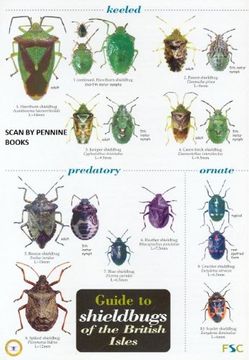 portada Guide to Shieldbugs of the British Isles