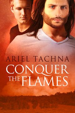 portada Conquer the Flames: Volume 4 (en Inglés)