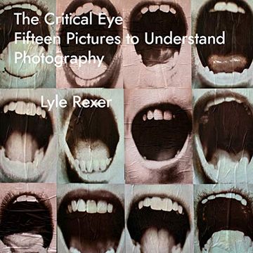 portada The Critical Eye: Fifteen Pictures to Understand Photography (en Inglés)