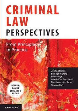 portada Criminal Law Perspectives: From Principles to Practice (en Inglés)