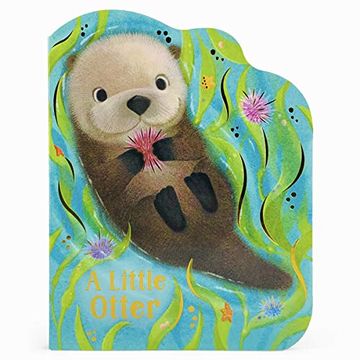 portada A Little Otter (in English)