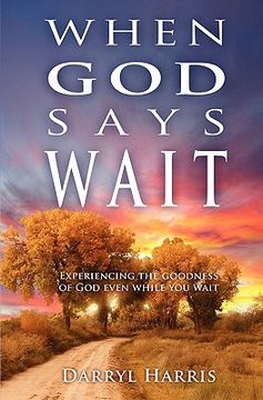 portada when god says wait (en Inglés)