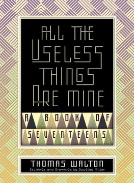 portada All the Useless Things Are Mine: A Book of Seventeens (en Inglés)