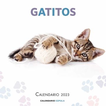 portada Calendario Gatitos 223 (en SPA)