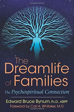 portada The Dreamlife of Families: The Psychospiritual Connection