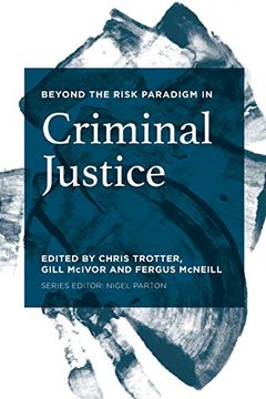 portada Beyond the Risk Paradigm in Criminal Justice (in English)