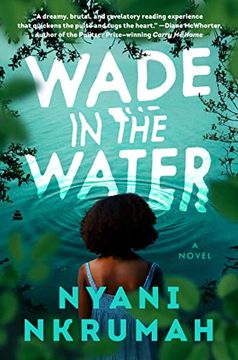 portada Wade in the Water: A Novel 