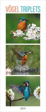 portada Vögel Triplets 2025: Schmaler Wandkalender. Foto-Kunstkalender von Vögeln in Heimischer Natur. Photoart Vertikal. 28,5 x 69 cm.