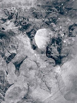 portada Promesse du Bonheur: Poems by Michael Fried, Photographs by James Welling (en Inglés)