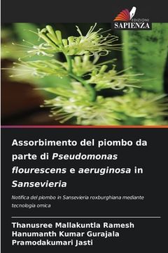 portada Assorbimento del piombo da parte di Pseudomonas flourescens e aeruginosa in Sansevieria (en Italiano)