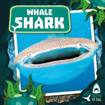 portada Whale Shark: Teeth to Tail (en Inglés)
