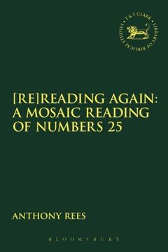 portada [Re]Reading Again: A Mosaic Reading of Numbers 25 (Playing the Texts)