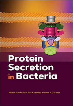 portada Protein Secretion in Bacteria (en Inglés)