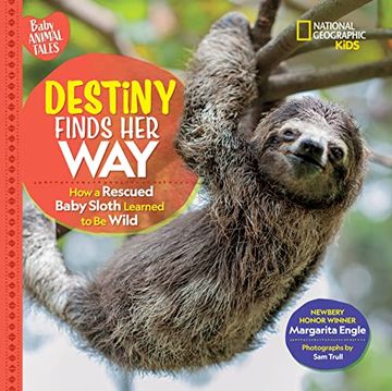 portada Destiny Finds her Way: How a Rescued Baby Sloth Learned to be Wild 