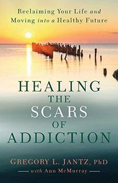 portada Healing The Scars Of Addiction (en Inglés)