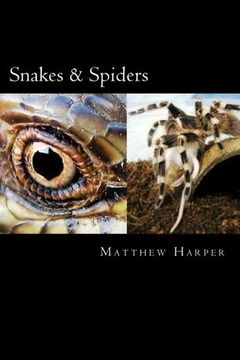 portada Snakes & Spiders: Two Fascinating Books Combined Containing Facts, Trivia, Images & Memory Recall Quiz: Suitable for Adults & Children (Matthew Harper)