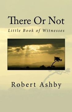 portada There Or Not - Little Book of Witnesses: God Through My Window (Volume 1)